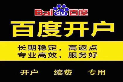 关键词竞价排名实战案例分析